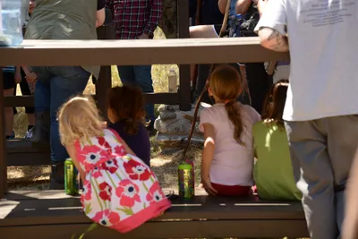 DSC_1664 (Large).JPG